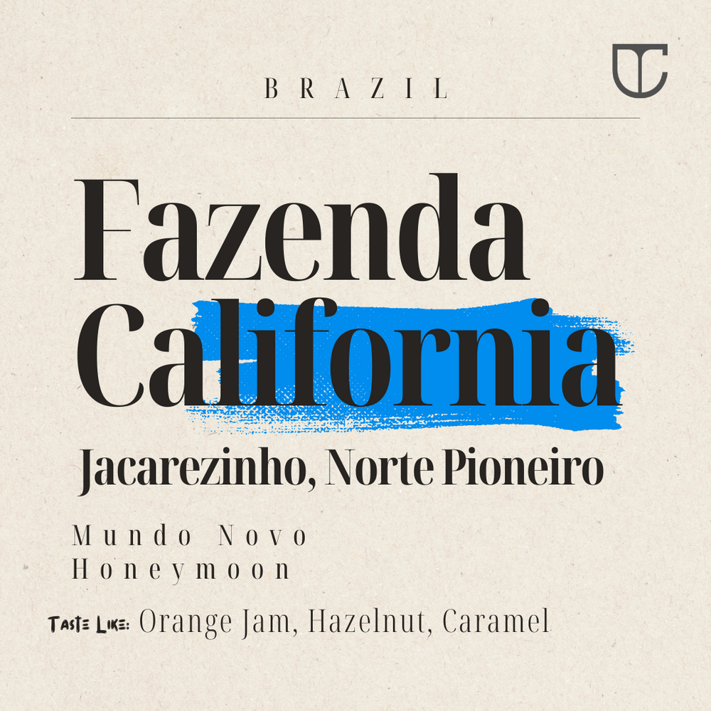 Fazenda California  |  Mundo Novo Honeymoon