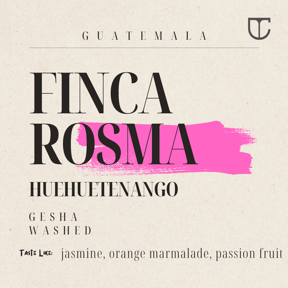 Finca Rosma | Huehuetenango, Guatemala