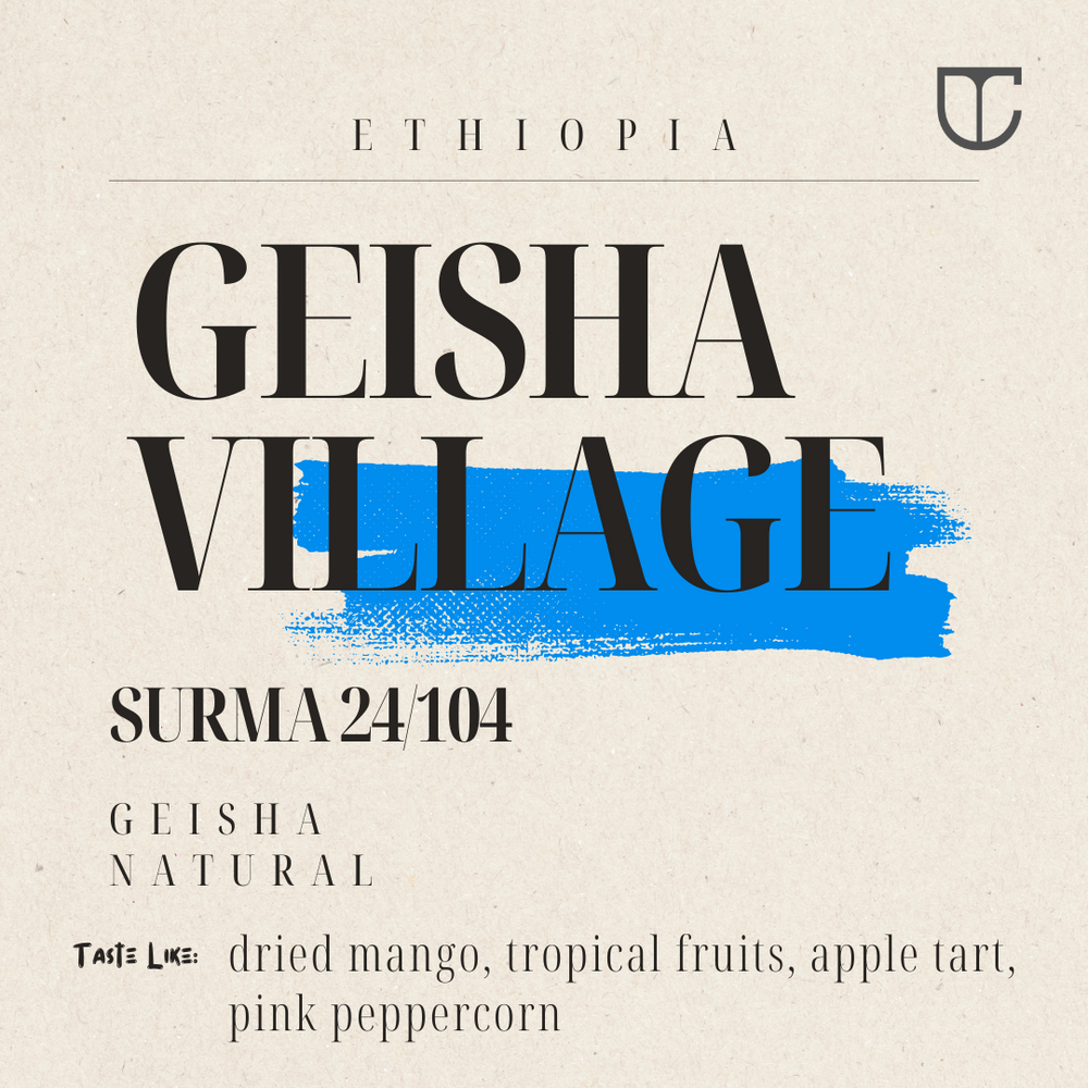 Geisha Village Surma Lot 24/104