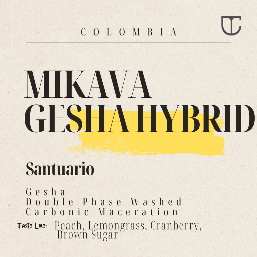 Mikava Geisha Hybrid